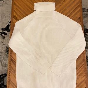 Zara knit turtleneck